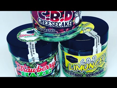 download lagu mp3 mp4 Hemp Buds 1kg, download lagu Hemp Buds 1kg gratis, unduh video klip Hemp Buds 1kg