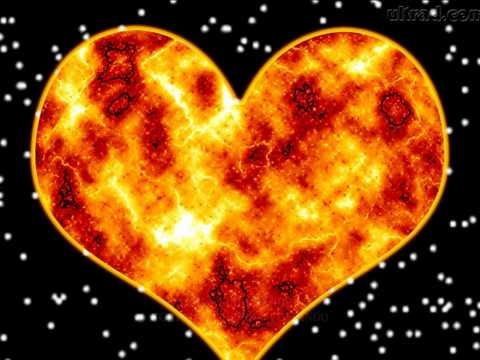 Filipa Cardoso " Estranha forma de vida "