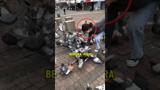 Download lagu This woman is like an angel to the pigeons!! mp3 Download lagu This woman is like an angel to the pigeons!! mp3