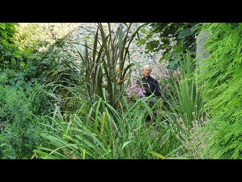 Morning Prayer – Monday, 10th August 2020