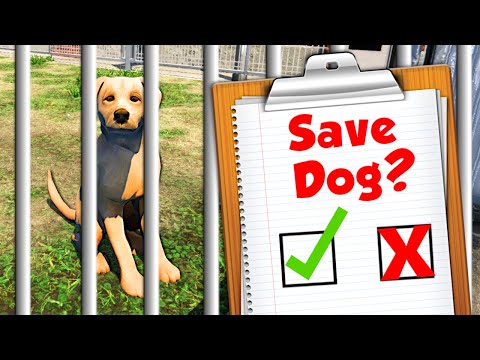 I Opened a DOG SHELTER to Rescue Homeless Dogs!
