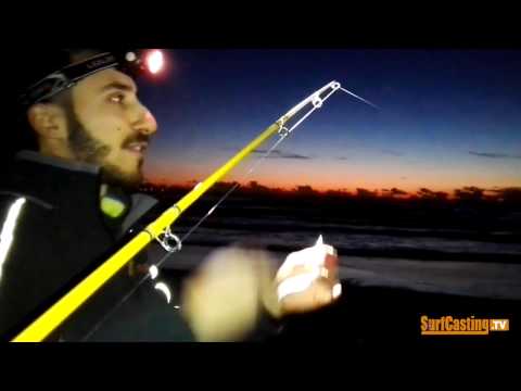 Come uccidere parassiti in aringa Fotografia di larve di helminths