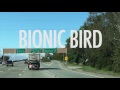 Bionic Bird: The Furtive Drone