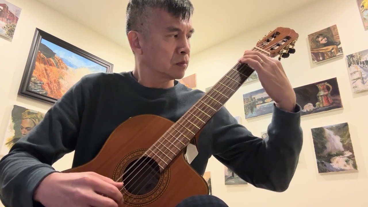 Promotional video thumbnail 2 for Classical Guitarist, Andy Liu
