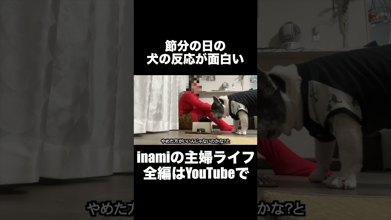 #節分#フレンチブルドッグ #inamiの主婦ライフ