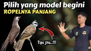 Download lagu 5 Tips Jitu Memilih Trucukan yang bisa Ropel Panjang‼️ mp3
