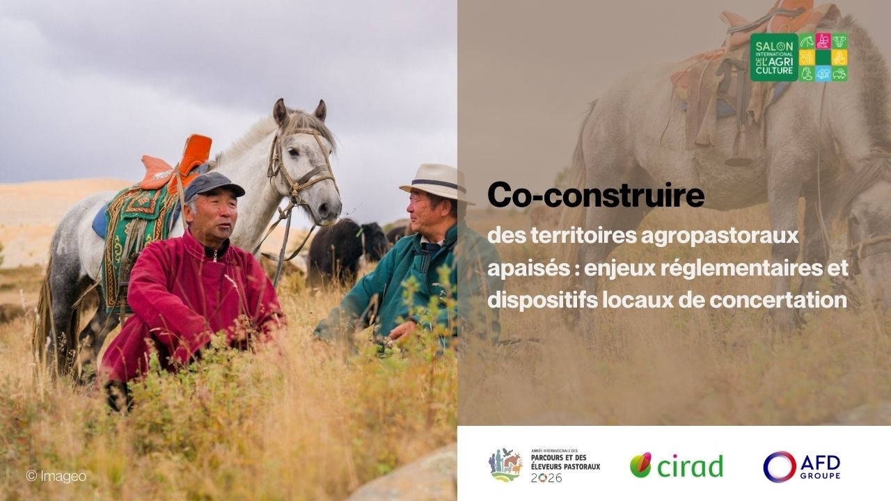 Co-construire des territoires agropastoraux apaisés : enjeux réglementaires et concertation locale