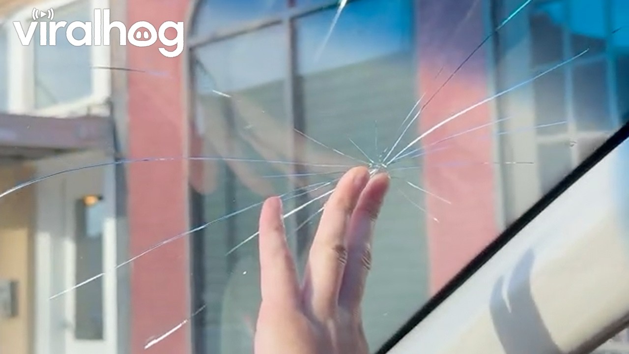 Mind if I Crack This Window? || ViralHog