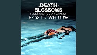 Bass Down Low