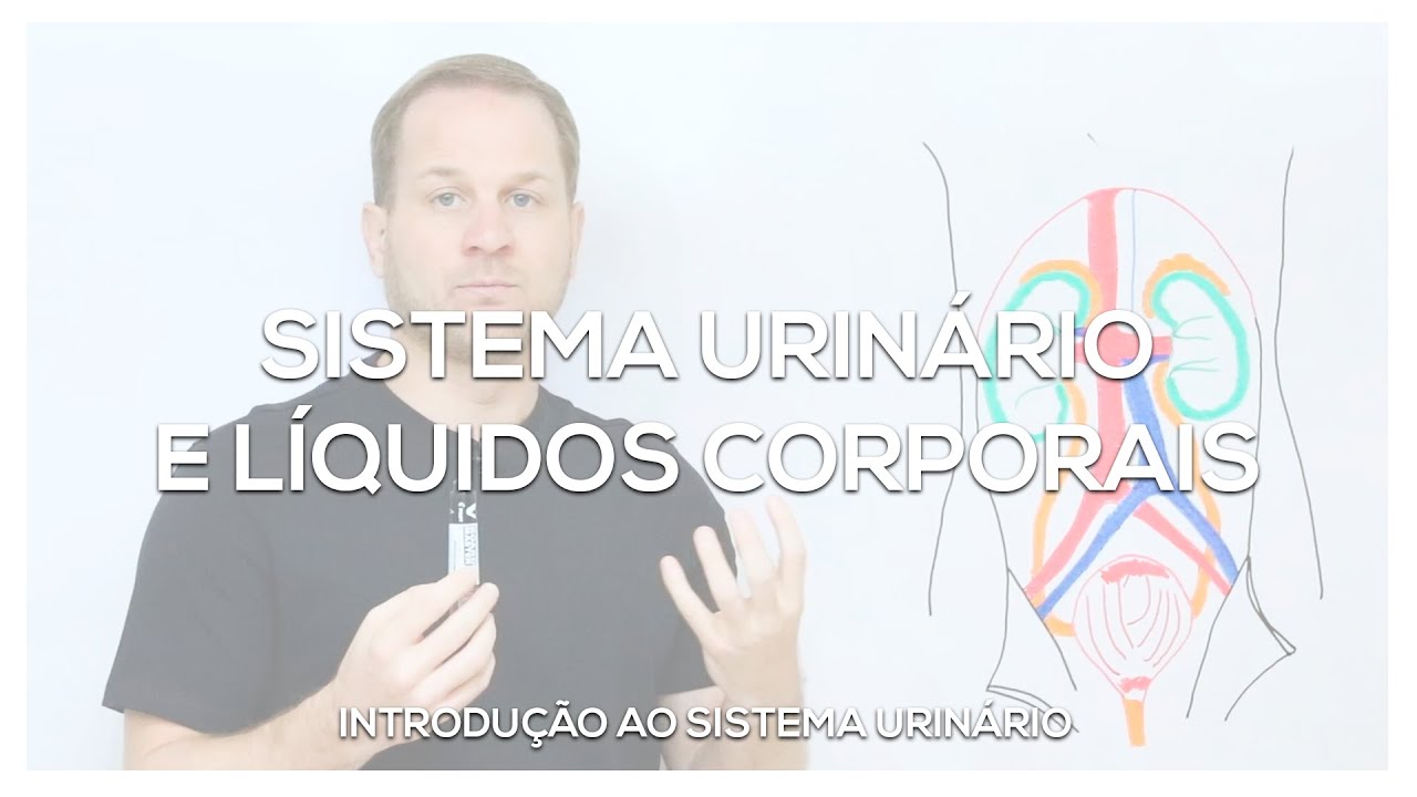 Introdução ao sistema urinário e líquidos corporais