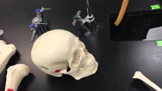 Lab Exam I: Answers Part 1