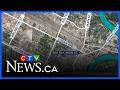 WARNING Youth Facing Animal Cruelty Charge