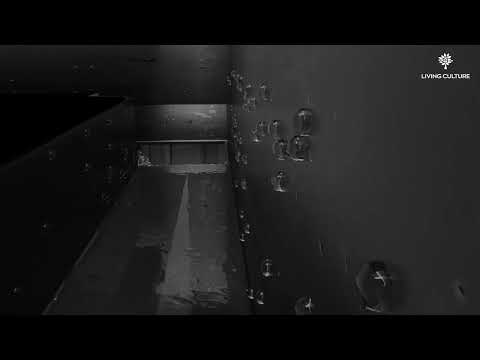 Louvre Roof Drainage System | Living Culture