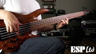 Video thumbnail for Bajo LTD Deluxe B-1005 Demo por Steve Lane by suprovox