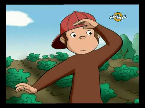 Bajkeverő Majom 05 Időben