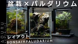 盆栽 ✕ パルダリウムのレイアウト│BONSAI ✕ PALUDARIUM SETUP