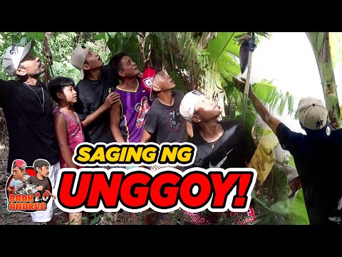 Baak Andres 2.0 and Baak Andres