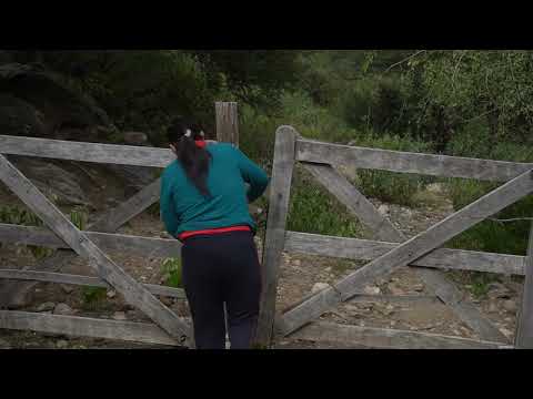 Hierbas medicinales, La Paz, Traslasierra, Córdoba 2026.
