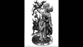 Video Fish Flesh Field and Henry Dollar - Petrovy kameny