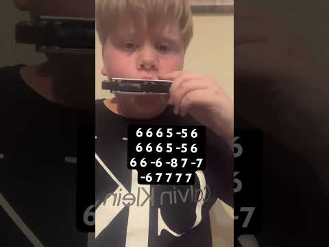 Squid game mingle song round and round harmonica ￼