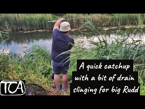 Quick catchup and a nice Rudd