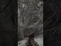 subwoofer lullaby - c418