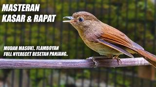 Download lagu FLAMBOYAN GACOR FULL BESETAN NEMBAK NYERECET NGEBREN NGEROL PANJANG BAGUS UNTUK MASTERAN & PANCINGAN mp3