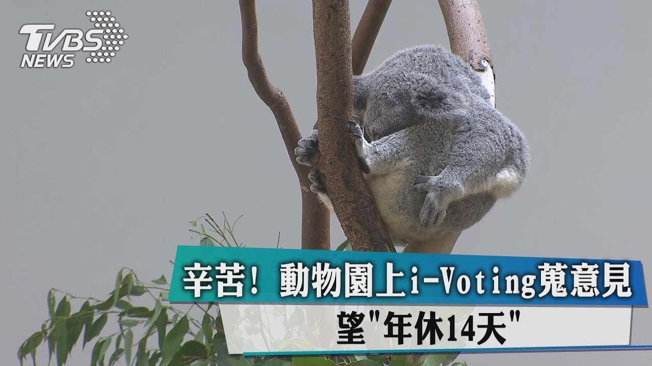 辛苦!動物園上i-Voting蒐意見 望年休14天