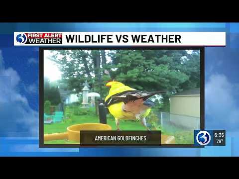 First Alert Weather Extra