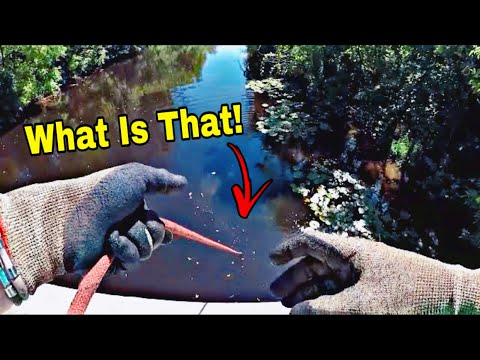 The Weirdest Magnet Fishing Find EVER - If I Wasn't Filming Nobody Would Believe Me!!!