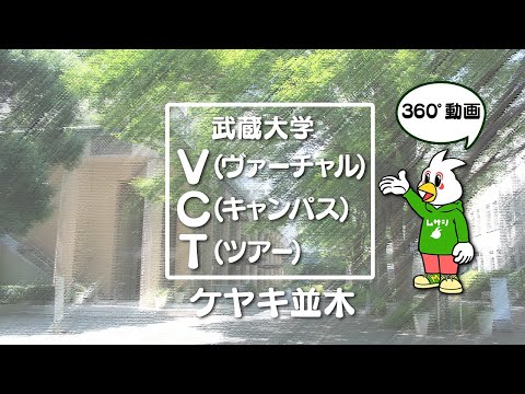 【武蔵大学】  VCT(バーチャルキャンパスツアー）【ケヤキ並木】