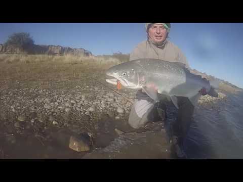 NO A LAS REPRESAS EN EL RIO SANTA CRUZ.-