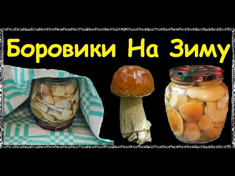 Боровики (Белый Гриб) На Зиму / Книга Рецептов / Bon Appetit