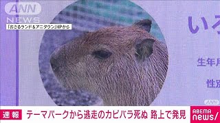 [問卦] 日本生活壓力太大了吧？連水豚都逃亡了