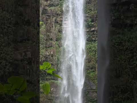 Chorro San Miguel Ubicado en Ospino. Estado Portuguesa