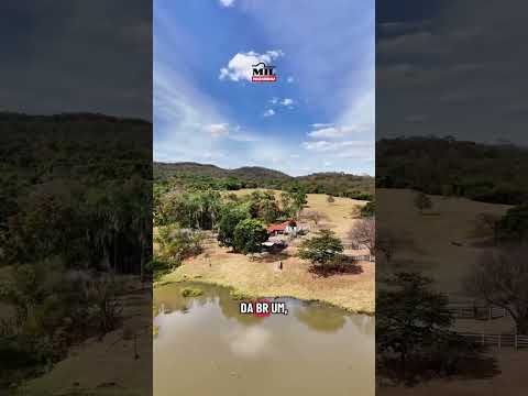 Fazenda 47,5 alqueires (229,3 hectares) – Piracanjuba - GO à venda #fazendaavenda #agro