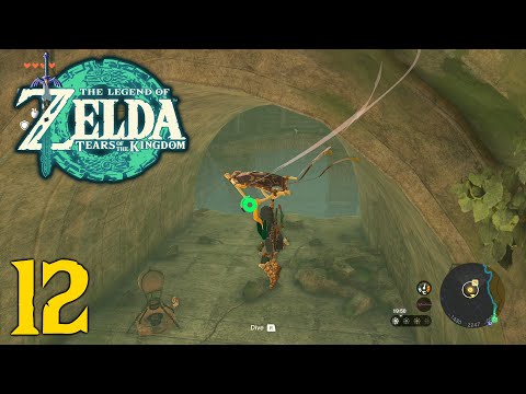 Zelda Tears of the Kingdom Playthrough - Dragon's Tears - Forgotten Temple