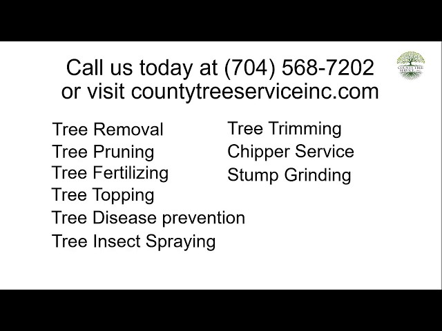 County  Tree Service
