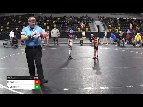 50 Lbs Prelims - Gwen Gross, Milton Monsters Wrestling Club Vs Annibel Choo, Texas