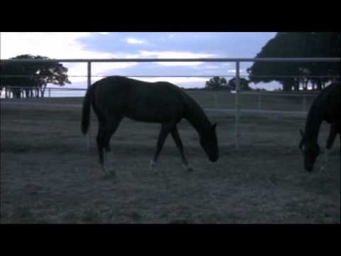 Einsteins Chic Dunit