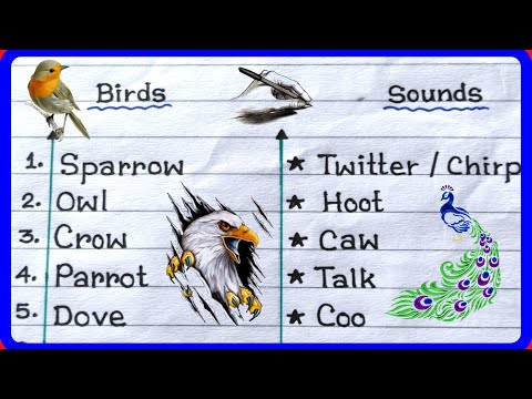 Birds Names And Sounds In English ॥ Learn Birds Species In English ॥ Study Koro ॥