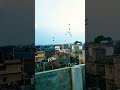 Chal Tere Ishq Me Pad Jate Hain Song Status Nature Travel Viralvideo