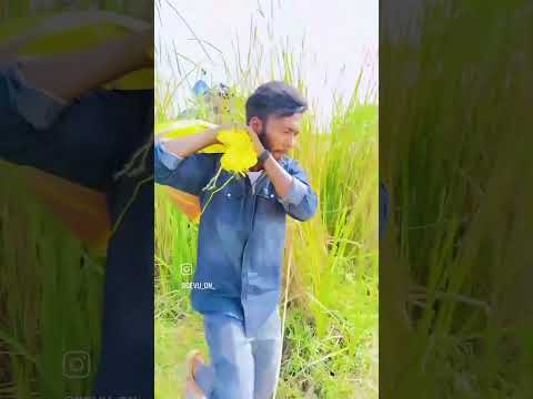 trend breaking    Best Hashtaghttp://best-hashtags.com › hashtagHashtags for #youtubechannel to grow