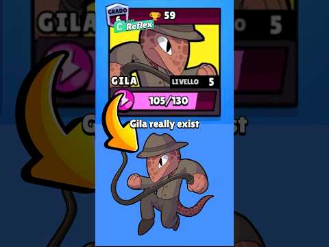 Was Gila a Real Brawler?