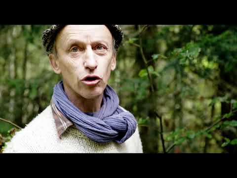 🌲 Portrait de Bernard Michaud - Bois de lutherie 6/7