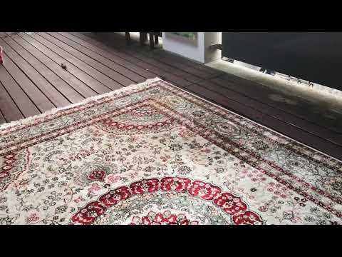 4/7 - perserteppich aus seide reinigen mit prowin wini & sprüh-extraktionskit