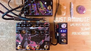 Video thumbnail for Just a Minute - Walrus Audio SLARP + Polychrome by Plunk & Boom audio