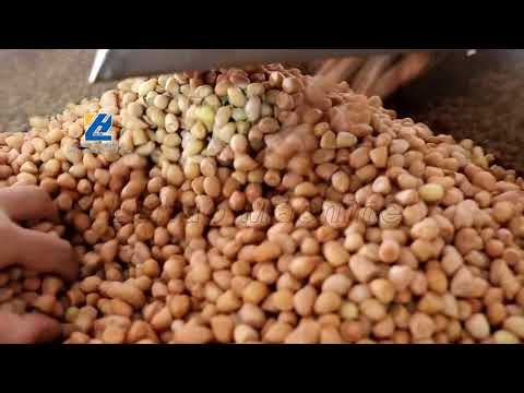 Automatic Continuous Roasting Machine With Multi-layers