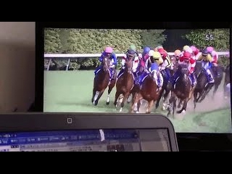 【競馬】2016 ヴィクトリアマイル(ＧＩ) ストレイトガール