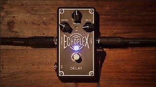 Dunlop Echoplex Delay - Video